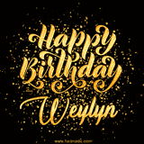 Animated GIF with colorful, festive 'Happy Birthday Weylyn' text decorated with patterns, a party hat, and falling confetti. A vibrant and cheerful design for birthday celebrations.