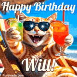 A cheerful cat wearing sunglasses, enjoying drinks on a sunny beach chair, with the text 'Happy Birthday Will!' in bright letters.