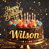 Gold Happy Birthday topper and lit candles on a chocolate frosted cake with Wilson's name on a dark starry background.