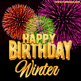 A golden 'Happy Birthday Winter' message with vibrant fireworks in the background, creating a festive and celebratory vibe in this animated name GIF.