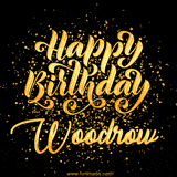 Animated GIF with colorful, festive 'Happy Birthday Woodrow' text decorated with patterns, a party hat, and falling confetti. A vibrant and cheerful design for birthday celebrations.