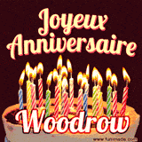 A Happy Birthday GIF in French featuring a festive birthday cake adorned with bright candles and the glowing text 'Joyeux Anniversaire Woodrow' in a cheerful style.
