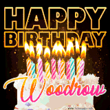 A vibrant animated GIF featuring a delicious birthday cake topped with glowing candles and the name 'Woodrow' in elegant script, and the words 'Happy Birthday' on the black background.