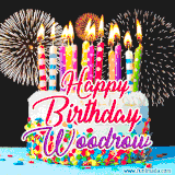 A lively happy birthday animated GIF showcasing a colorful birthday cake covered in sprinkles, topped with glowing candles, and surrounded by vibrant fireworks. The name 'Woodrow' is featured in elegant script.