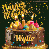 A delightful chocolate birthday cake with bright candles and 'Happy Birthday Wylie' written in gold amidst a shower of animated stars.