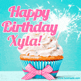 A festive cupcake with pink icing, a gingham bow, and a lit animated sparkler, paired with 'Happy Birthday Xyla!' in bright pink text.
