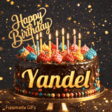 Bright candles flickering on a festive chocolate cake with the name Yandel displayed in golden letters.