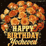 Animated bouquet of orange roses with moving butterfles and golden 'Happy Birthday Yocheved' text, surrounded by sparkling accents and a dark backdrop for a luxurious feel.
