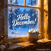 GIF Animation showing snow falling outside a rustic window. A cup of cocoa sits on the ledge while the words Hello December appear written on the icy windowpane in a white script font.