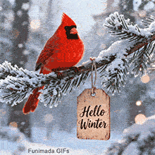 A vibrant red cardinal perches on a snow-covered pine branch next to a hanging wooden tag that reads Hello Winter. Soft snowflakes fall in a blurred forest background.