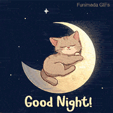 Animated image of a cute cartoon kitten peacefully sleeping on a glowing crescent moon in a starry night sky, with 'Good Night!' text at the bottom and twinkling stars.