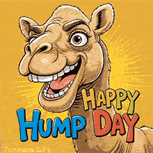A goofy animated camel with a huge grin and playful expression is featured next to colorful text reading 'Happy Hump Day' against a bold yellow sunburst backdrop.