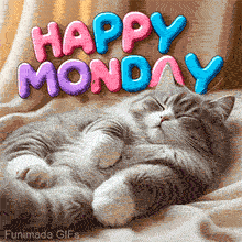 An animated GIF showing a fluffy grey and white cat sleeping peacefully on its back on a soft beige blanket, The text 'HAPPY MONDAY' appears above in colorful bubble letters.