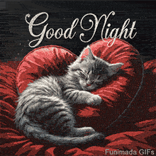 A cute, fluffy grey tabby kitten is shown sleeping peacefully on a plush, red, heart-shaped pillow. Above the kitten, the words 'Good Night' are written in a glittery font.