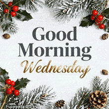 The text 'Good Morning Wednesday' is elegantly written in grey and gold script, framed by snowy pine branches, red holly berries, and pine cones on a clean white background.