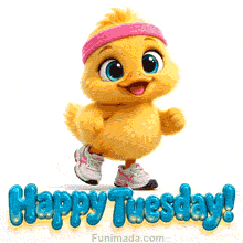 An energetic animated morning GIF showing a fluffy yellow 3D cartoon duckling wearing a pink headband and running shoes above the glossy bubble text Happy Tuesday!.