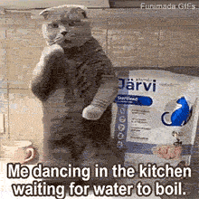 A comedic reaction GIF featuring a dancing cat. The animal's smooth arm movements and blank stare illustrate the silly things people do to entertain themselves while waiting for food to cook.