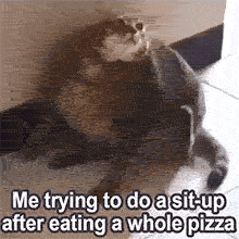 A very round tabby cat sits awkwardly on a tiled floor leaning against a wall, with a text overlay saying 'Me trying to do a sit-up after eating a whole pizza' in a bold white font.