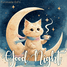 Cute light-orange cat with a scarf and a steaming drink sits on a crescent moon in a starry sky, with clouds below and 'Good Night' written in script.