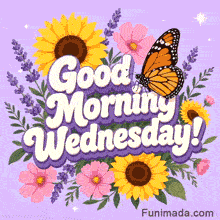 An orange monarch butterfly perched on purple 3D Good Morning Wednesday text, framed by bright yellow sunflowers, pink cosmos, and lavender sprigs on lilac.