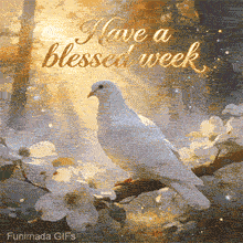 Elegant gif of a white bird on a flowering branch with the glowing text 'Have a blessed week' in gold script, set against sunlit woods with floating light dots.