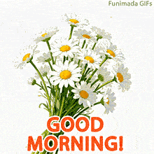 Animated daily card featuring a natural and happy theme. The bright chamomile flowers and the cheerful icons create a welcoming and positive morning visual.