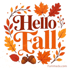 Bold orange and brown Hello Fall lettering sits at the center of a circular arrangement of red yellow and orange autumn leaves acorns berry branches and small dots on a clean white background