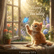 A small ginger kitten with a bell on its collar reaches a paw toward a vibrant blue butterfly near a sun-drenched wooden window frame overlooking a blooming summer garden.