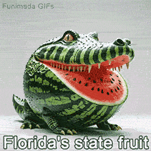 A surreal animated GIF of a creature that is half alligator and half watermelon, It has a round watermelon body with the head, legs, and tail of a gator, Text reads 'Florida's state fruit'.