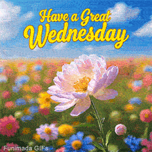 Animated GIF with the message 'Have a Great Wednesday' in yellow above a blooming pink flower in a vibrant field of multicolored wildflowers under a blue sky with clouds.