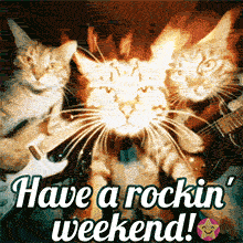 A hilarious animated meme for the weekend, Three cats are rocking out with guitars, and the lead singer cat is exploding with pure energy, The text wishes a 'rockin' weekend'.