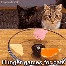 Animated GIF shows a tabby cat and a black cat staring intently as food rotates on a glass lid, The funny caption below reads 'Hunger games for cats', capturing their patient wait.