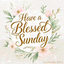 A pastel-toned GIF with soft pink flowers and green leaves surrounding a white circle with the gold script message 'Have a Blessed Sunday' in elegant calligraphy.