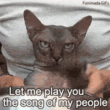 A close-up of a serious-looking Sphynx cat frantically banging its paws on a metal bowl. The meme text overlays the image saying 'Let me play you the song of my people'.