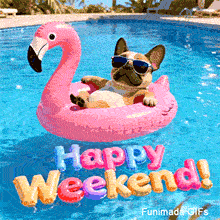 Animated GIF of a brown and white Frenchie chilling in a pool. Text: Happy Weekend.