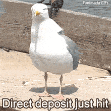 Animated GIF of a bird puffing its chest out with a smug expression, representing the feeling of sudden wealth, accompanied by text about receiving a paycheck.