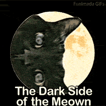 A hilarious and bizarre animated meme, A cat's head spins rapidly inside a circular frame with a moon in the background, The text says 'The Dark Side of the Meown'.