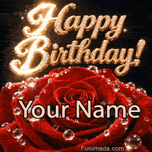 Elegant birthday animation featuring a deep red rose with sparkling water droplets beneath golden jeweled Happy Birthday lettering on a black background