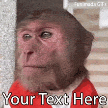 Create a highly relatable meme with this editable GIF of a sad monkey in a red vest staring into the distance. Add your custom text to share your daily struggles!