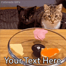 Create a hilarious meme with this editable GIF of two synchronized cats hypnotized by sandwiches spinning on a glass lid! Add custom text to share your food cravings.