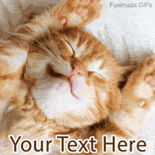 A fluffy orange kitten stretches adorably on a white bed, eyes closed in cozy bliss, with animated text space below reading 'Your Text Here' ready for a morning message.
