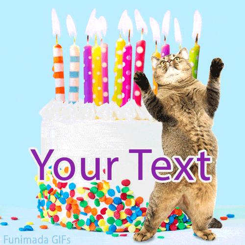A funny animated birthday cake covered in rainbow confetti and colorful lit candles, with a gray tabby cat joyfully dancing in front of it on a light blue background.