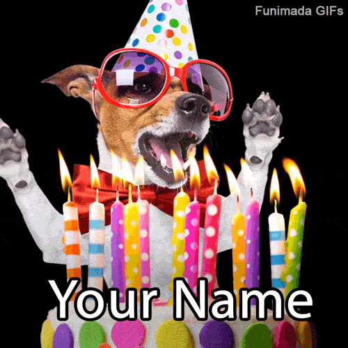 Animated customizable GIF of a funny dog wearing oversized red sunglasses, a polka-dot party hat, and a red bow tie, cheering with its paws in the air behind a cake with lit candles.