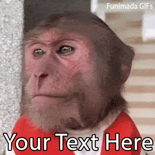 Create a highly relatable meme with this editable GIF of a sad monkey in a red vest staring into the distance. Add your custom text to share your daily struggles!