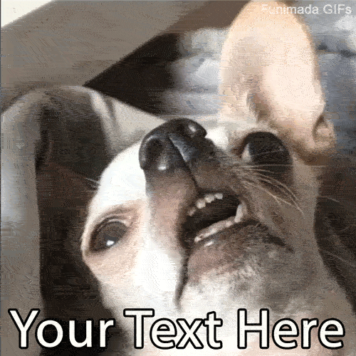 Did I just hear that right? Customize this funny animated GIF of a derpy dog looking sideways with your own relatable caption. Perfect for reacting to wild gossip!