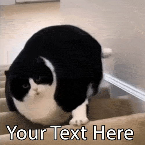 Create a hilarious meme with this editable GIF of a massive, chubby cat effortlessly rolling down the stairs like a fluffy bowling ball. Add your custom text!