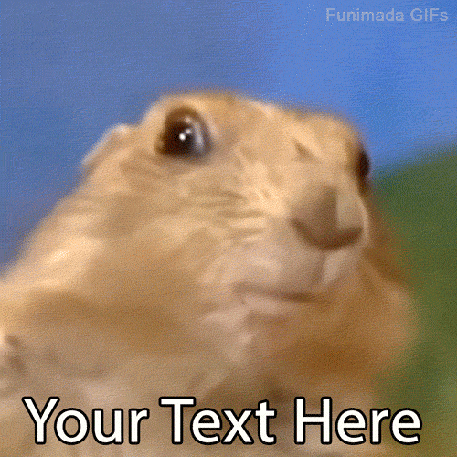 Dun-dun-DUUUN! Add custom text to the iconic Dramatic Chipmunk editable GIF to express pure shock, plot twists, or hilarious sudden realizations.