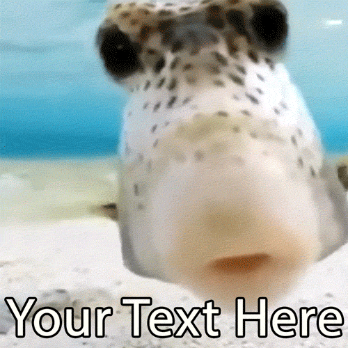 Create a hilarious or sweet meme with this editable GIF of a cute fish kissing the screen. Add your custom caption to this funny underwater meme generator.