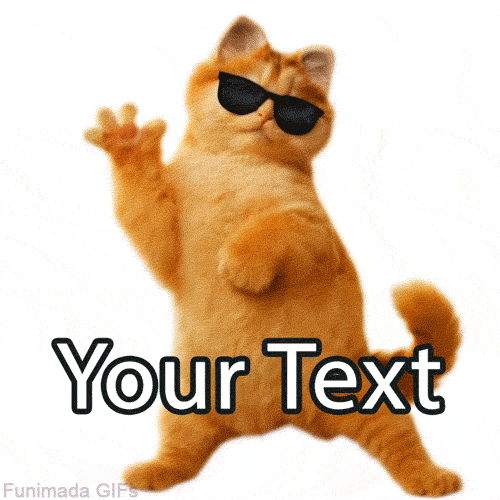 Editable meme template showing a cool ginger cat in dark shades striking a funny, confident dance pose against a solid white background.