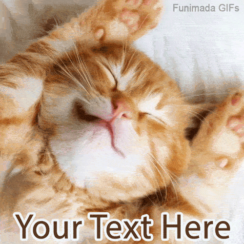 A fluffy orange kitten stretches adorably on a white bed, eyes closed in cozy bliss, with animated text space below reading 'Your Text Here' ready for a morning message.